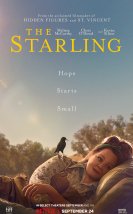 The Starling