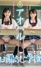 Japonya’da Liseye Gitmek