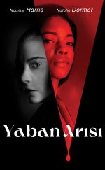 Yaban Arısı