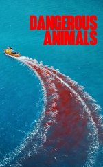 Dangerous Animals