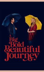 A Big Bold Beautiful Journey